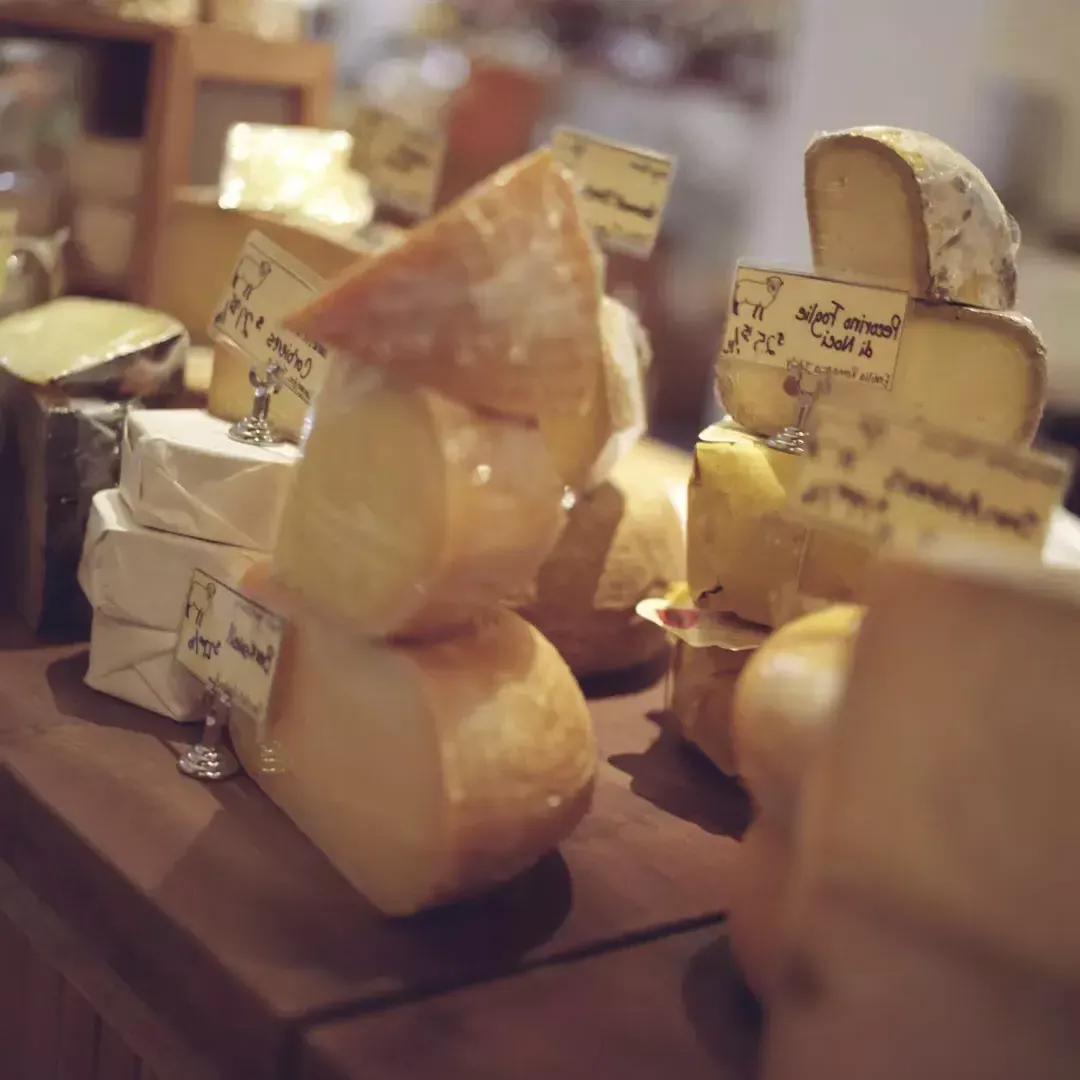 Various cheeses at gourmet counter